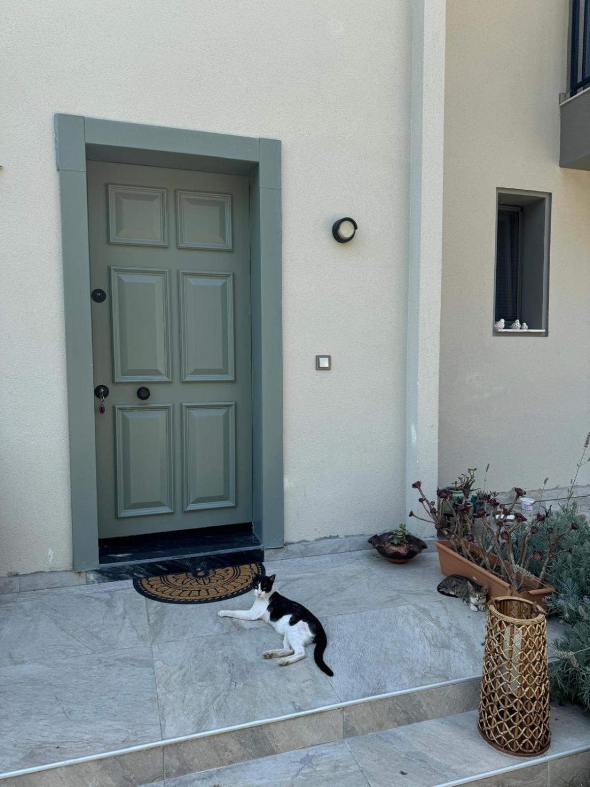 Suna Summer House Marmaris Exterior photo